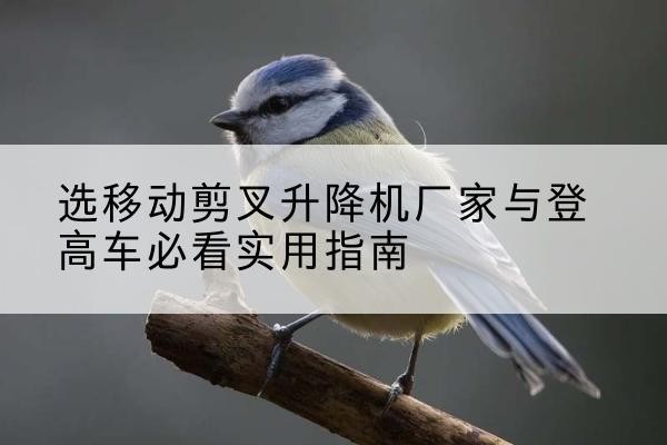 墨玉电动升降机厂家-选移动剪叉升降机厂家与登高车必看实用指南