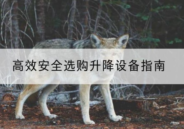 墨玉升降货梯厂家推荐-*安全选购升降设备指南