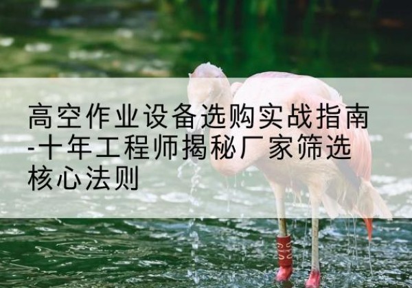 墨玉剪叉式升降机厂家-高空作业设备选购实战指南-十年工程师揭秘厂家筛选核心法则